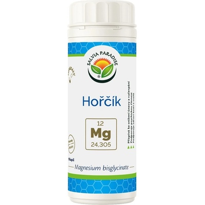 Salvia Paradise Hořčík Magnesium bisglycinate 90 kapslí
