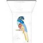 PUPA Parrot Eye make-up set - комплект грим за очи № 003