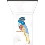PUPA Parrot Eye make-up set - комплект грим за очи № 003