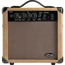 Stagg 10 AA