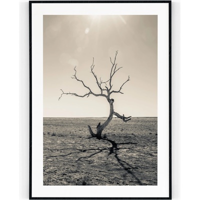 Plakát / Obraz Tree 50 x 70 cm Tiskové plátno S bílým okrajem – Zbozi.Blesk.cz