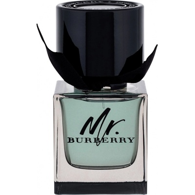 Burberry Mr. Burberry toaletná voda pánska 30 ml