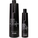 Echosline Karbon 9 šampon s aktivním uhlím na namáhané vlasy 350 ml