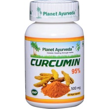 Planet Ayurveda Kurkumin 95% extrakt 7:1 500 mg 60 kapslí