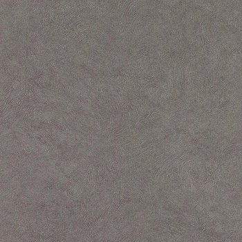 Image 1 of Rasch Тапет за стена нетъкан Fiducia Rasch 424201