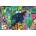 Ravensburger - Puzzle Panther in Flower Jungle - 3 000 piese