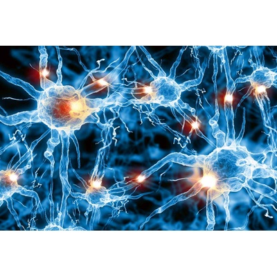 DIMEX ART Флизелинов фототапет нервна клетка 375 x 250 см