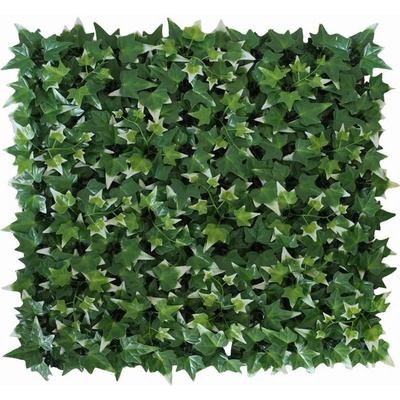 Hedera helix VG, dílec 50 x 50 cm