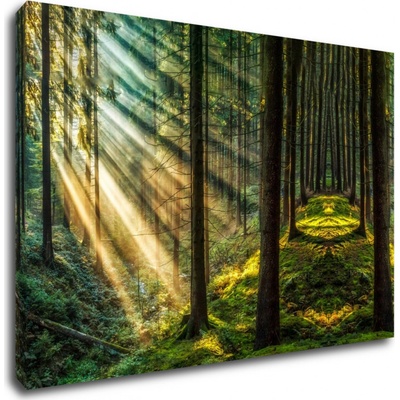 Impresi Obraz Slnečné lúče v lese - 60 x 40 cm