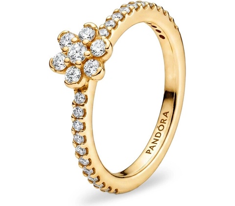 Pandora 164499C01