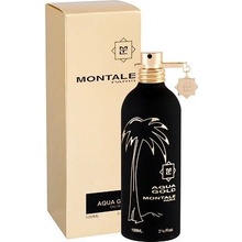 Montale Aqua Gold parfumovaná voda unisex 100 ml