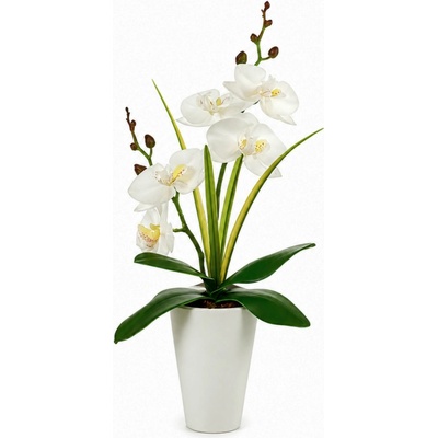 Orchidej v bílém květináči Blanco 37 cm