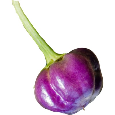 Need For Seed Chilli Purple Pumpkin semena 10 ks