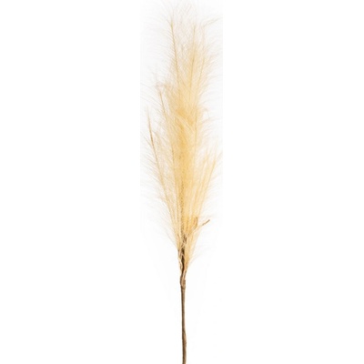 Dekoračný kvet 100 cm, dĺžka trávy 60 cm zlatá