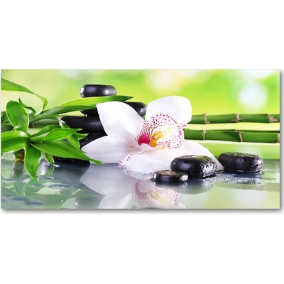 Foto obraz sklo tvrzené orchidea 100x50 cm