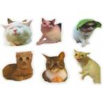 Leantoys Set of Cats Stickers Memes Decorative Various Motifs 50 pcs. 7-8 cm