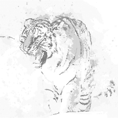 ZUTY Bodkovanie - MAĽOVANÝ TIGER Rámovanie: vypnuté plátno na rám, Rozmer: 40x50 cm