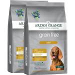 Arden Grange GF Възрастен Патешко месо и Супер храни 2 x 12 кг