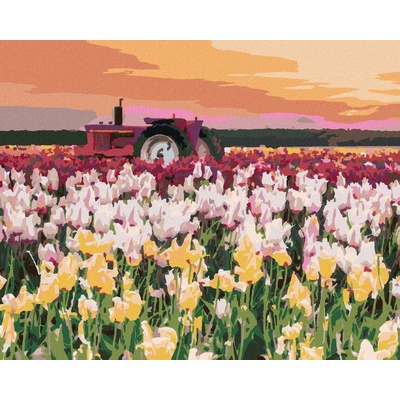 Zuty Malování Podle Čísel Tulipány Na Poli Ted Davis 80 x 100 Cm Plátno Rám