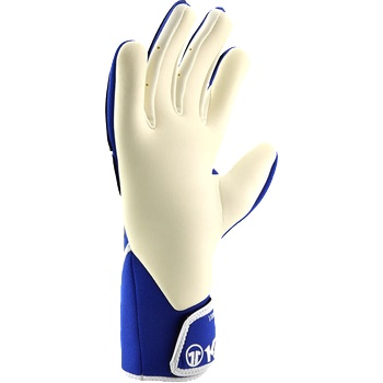 Reusch Legacy 2000 Goalkeeper Gloves