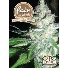 Fair Seeds Northern Light semena neobsahují THC 10 ks