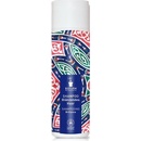 Bioturm šampón Glossy Hair 200 ml