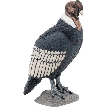 Papo Фигурка Papo Wild Animal Kingdom - Птица кондор (50293)