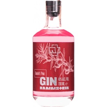 Rammstein Pink Gin 40% 0,7 l (čistá fľaša)
