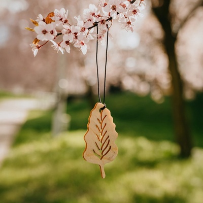 SOJKA Dřevěná vůně do auta - List Organic