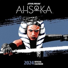 Danilo Star Wars Ahsoka 2024