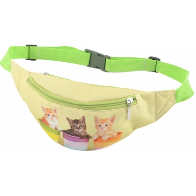 MyBestHome 24 Koťata