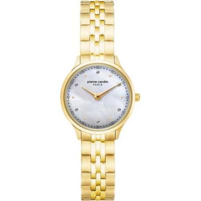 Pierre Cardin A.PC902682F305