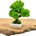 Machový 3D bonsai Mini White