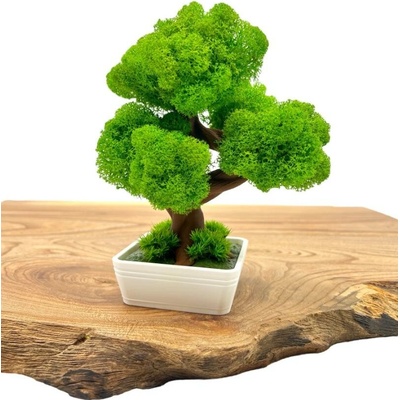 Machový 3D bonsai Mini White