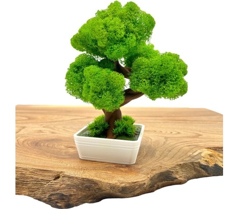 Machový 3D bonsai Mini White