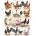 New York Puzzle Company - Puzzle Chickens - Poultry - 500 piese
