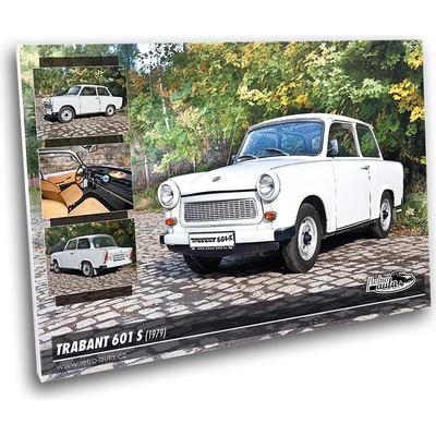 Obraz č. 38 - TRABANT 601 S (1979) 100 x 70 cm