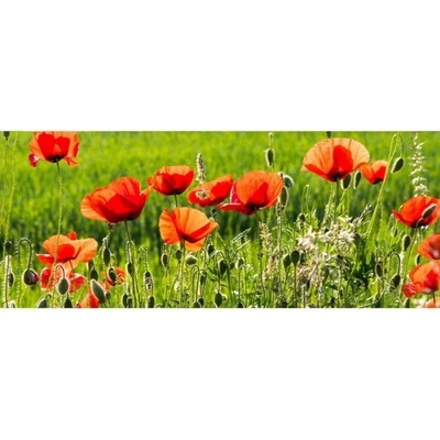 DIMEX ART Панорамни флизелинов фототапет маково поле 375 x 150 см