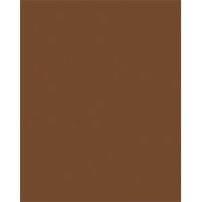 folia Цветна хартия a3, 130 г, 50 листа, folia, шоколадово кафява 6385 (6385)