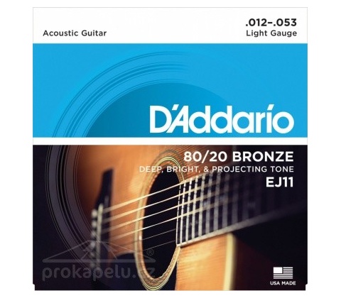 D'addario EJ11