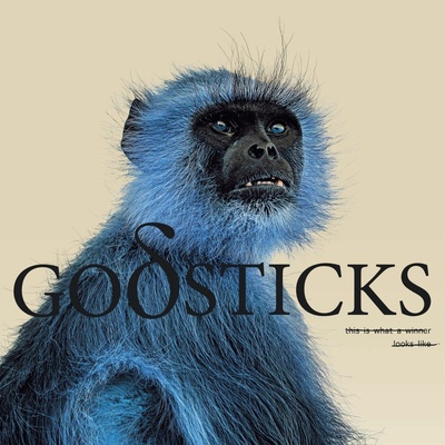 GODSTICKS - THIS IS WHAT A WINNER LOOKS CD