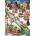 Pieces & Peace - Puzzle Ginger Bread Village - 1 000 piese