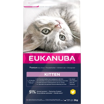 Eukanuba Healthy Start Kitten 3 x 2 kg