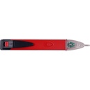 Ermenrich Zing WT20