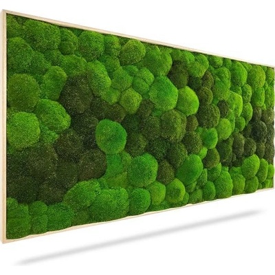 Machový obraz DUO Light Green, 100x50cm, drevený svetlohnedý rám