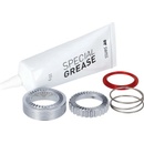 DT Swiss Ratchet EXP 54T service kit