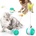 PETINTEREST Интерактивна играчка балансиращо колело PET INTEREST Balance Car Cat Toy (25533)