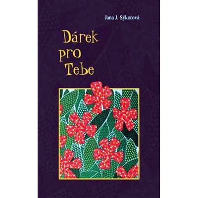 Dárek pro Tebe - Jana Sýkorová