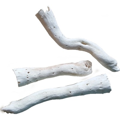 Koreň Copi Cone- bielený