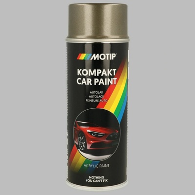 Lak vozidla MOTIP 55525